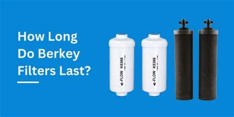 how long do berkey black filters last